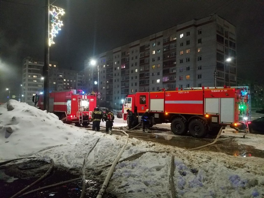 Пожарно-спасательные подразделения выезжали на пожар в Каргопольском  МО Архангельской области