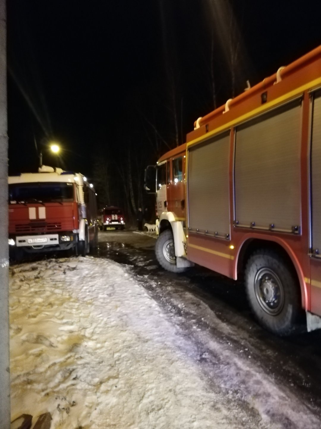 Пожарно-спасательные подразделения выезжали на пожар в Каргопольском МО Архангельской области